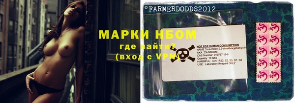 стафф Елабуга