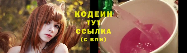 Альфа ПВП Елизово
