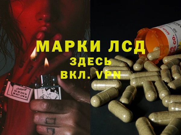 Альфа ПВП Елизово