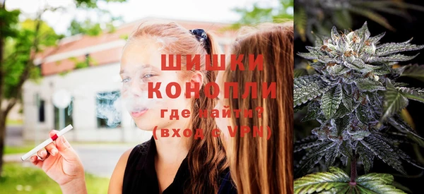 стафф Елабуга