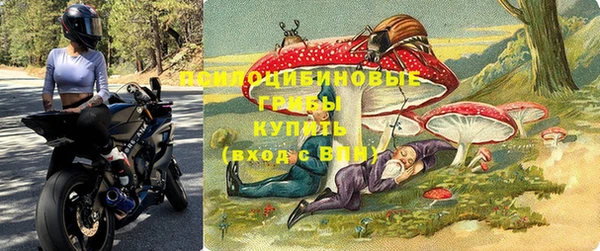 Альфа ПВП Елизово