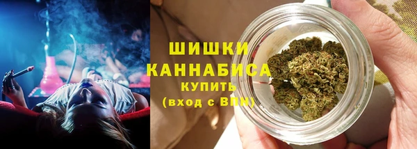 стафф Елабуга