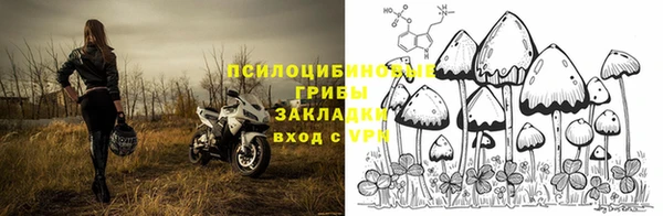 Альфа ПВП Елизово