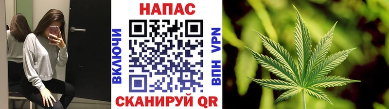 купить наркотик  Ишим  Канабис семена 